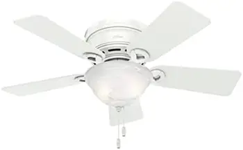 Компания 51022 Conroy Внутренний Низкопрофильный Потолочный вентилятор со светодиодной подсветкой и управлением тяговой Цепью, 42 Usb-вентилятора Ручной вентилятор Small fan Air co
